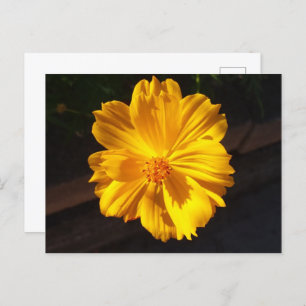 Golden Flower Macro-fotografie Briefkaart