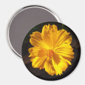 Golden Flower Macro-fotografie Magneet (Voorkant / Achterkant)