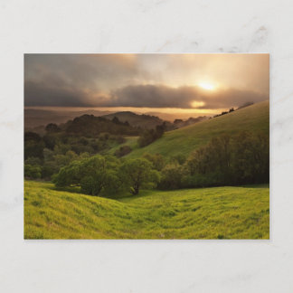 Golden Foggy Sunset, Californië Briefkaart