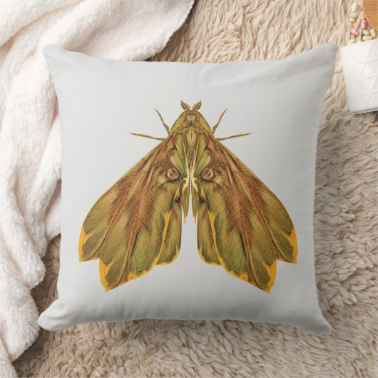 Golden Forest Moth – Surreal Nature Form Kussen (Deken)