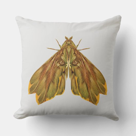 Golden Forest Moth – Surreal Nature Form Kussen (Voorkant)