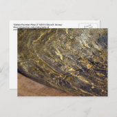 Golden Fountain Water 2 Briefkaart (Voorkant / Achterkant)