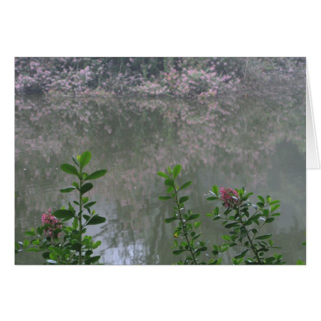 Golden Gate Park 1 (Devant Horizontal)