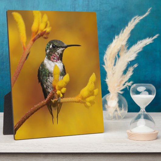 Golden Glow Fotoplaat (Zijkant)