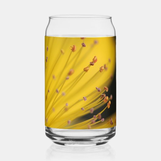 Golden Glow : Gros plan d'une fleur jaune (Recto)