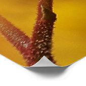 Golden Glow Poster (Hoek)