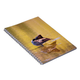 Golden Goose Notitieboek