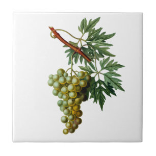 Golden Grapes Redoute Ceramic Tile Tegeltje