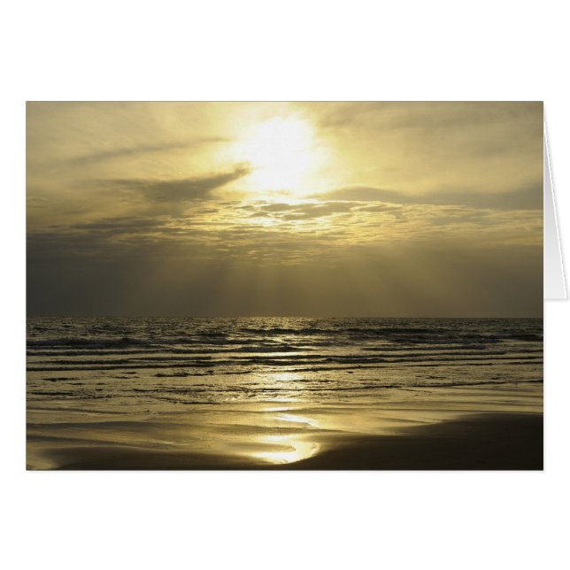 Golden Haze (Devant horizontal)