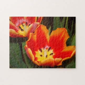 Golden Heart Tulip Puzzle, 11" x 14", 252 pieces Legpuzzel