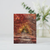 Golden Herfst Briefkaart (Staand voorkant)