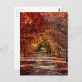 Golden Herfst Briefkaart (Voorkant / Achterkant)