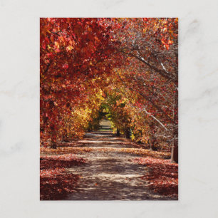 Golden Herfst Briefkaart