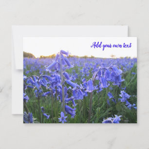 Golden Hour Bluebells - persoonlijk Briefkaart