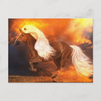 Golden Hour Briefkaart