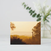 Golden Hour Giraffe Briefkaart (Staand voorkant)