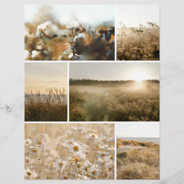 Golden hour nature Scrapbook paper for cutouts (Voorkant)