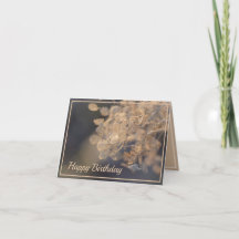 Golden Hydrangea Bloemen Winter