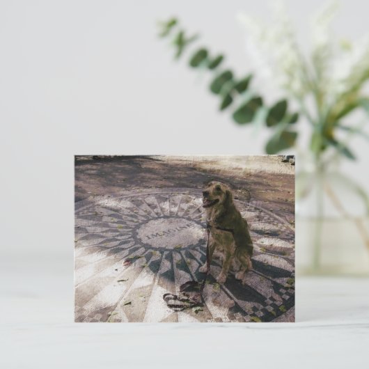 Golden in aardbeivelden, ook bekend als "Imagine"- Briefkaart (Staand voorkant)