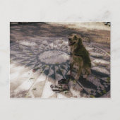 Golden in aardbeivelden, ook bekend als "Imagine"- Briefkaart (Voorkant)