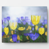 Golden Jubilee Plaque Fotoplaat (Voorkant)