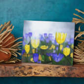 Golden Jubilee Plaque Fotoplaat (Zijkant)