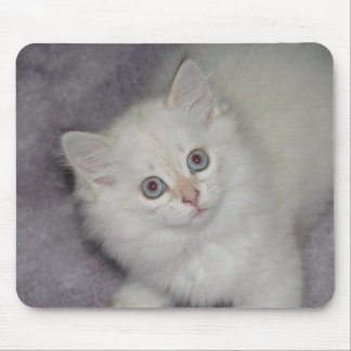 Golden Kitten Mousepad Muismat