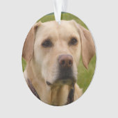 Golden Lab aanpasbaar kerstfeest Ornament (voorkant)