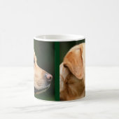 Golden Lab Chien Chien Chien Chien Mug Coupe de ca (Centre)