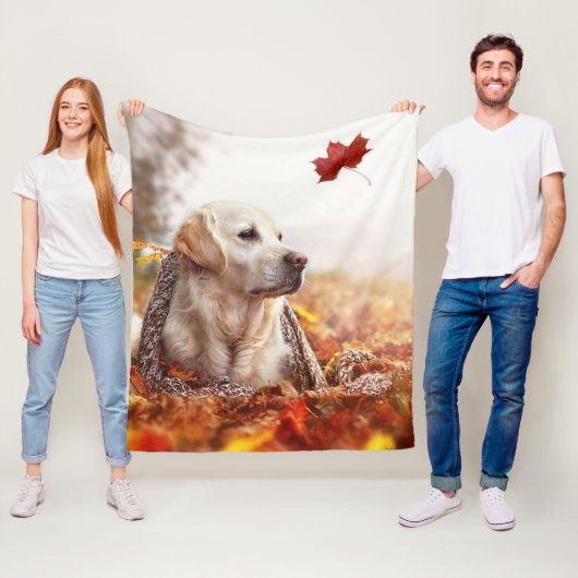 Golden Lab Fleece Blanket (In situ)