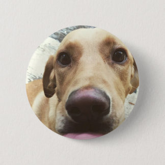 Golden Lab Ronde Button 5,7 Cm