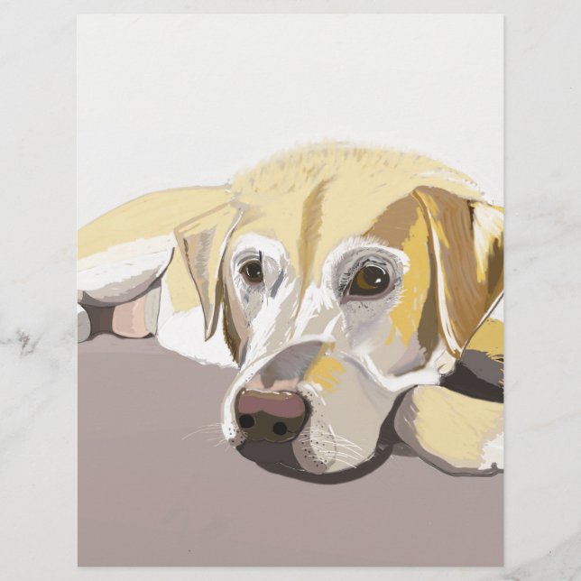 Golden Labrador (Voorkant)