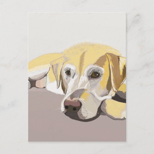 Golden Labrador Briefkaart (Voorkant)