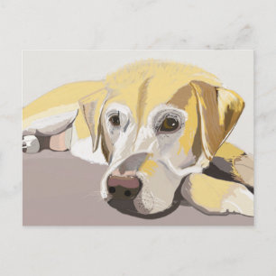 Golden Labrador Briefkaart