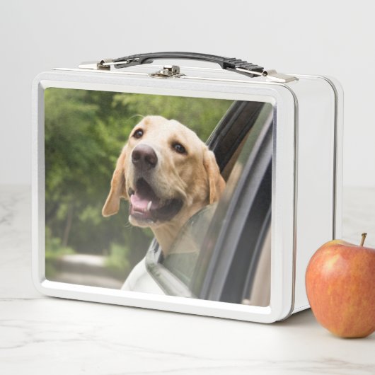 Golden Labrador in Rearview Mirror (In situ)