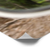 Golden Labrador in Rearview Mirror Poster (Hoek)