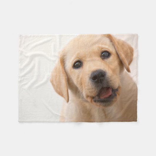 Golden Labrador Puppy Fleece Deken (Voorkant (Horizontaal))