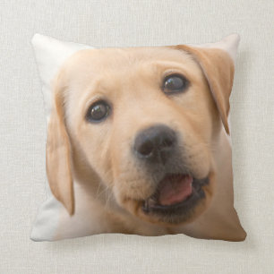 Golden Labrador Puppy Kussen