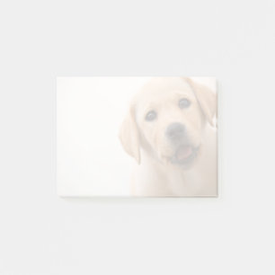 Golden Labrador Puppy Post-it® Notes