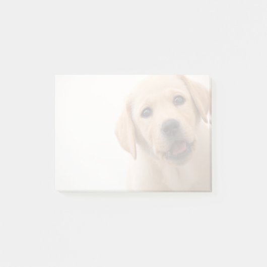 Golden Labrador Puppy Post-it® Notes (Voorkant)