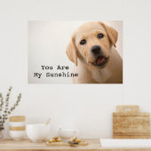 Golden Labrador Puppy Poster (Keuken)