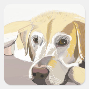Golden Labrador Vierkante Sticker