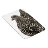 Golden Laced Wyandotte Chicken Magneet (Rechterzijde)
