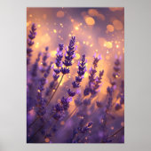 Golden Lavender Field Wall Art Print (Voorkant)