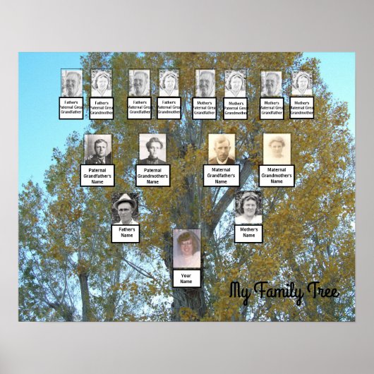 Golden Leaf Photo Family Tree 4 Generation Poster (Devant)