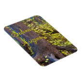 Golden Leaves op West Fork Trail Magneet (Rechterzijde)