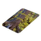 Golden Leaves op West Fork Trail Magneet (Linkerzijde)