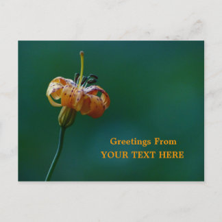 Golden Lily Wildflower Greetings Keepomwille Briefkaart