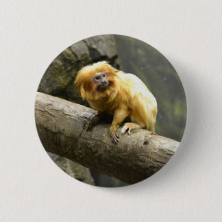 Golden Lion Tamarin Ronde Button 5,7 Cm