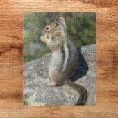 Golden Mantled Ground Eekhoorn Natuur Foto Legpuzzel